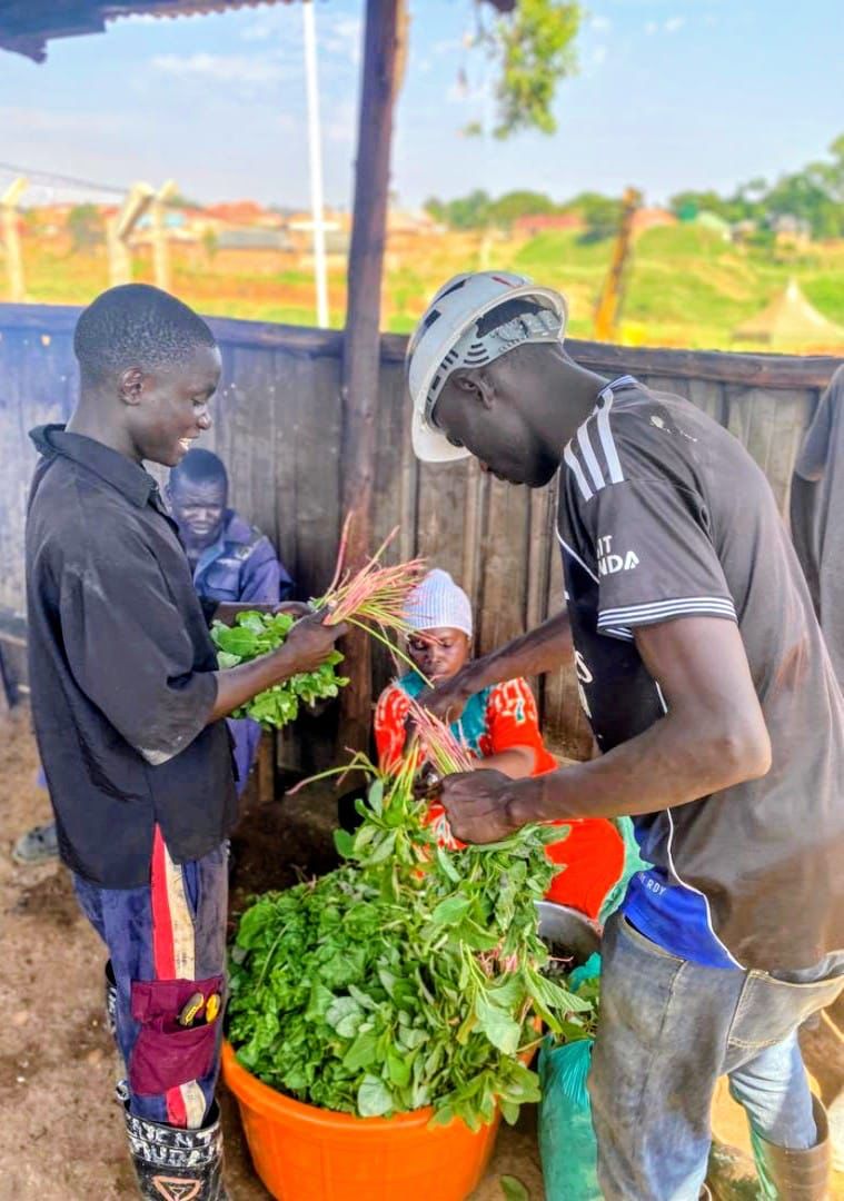 Burlcore team members sorting bundles of fresh greens into a basin on site in Busia